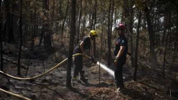 Incendies en France : la "première journée un peu optimiste" en une semaine en Gironde, le feu est "maîtrisé" dans les Landes