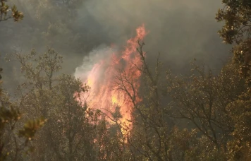 Incendie en Gironde : Un débroussaillage pour le compte d’Enedis pourrait être à l'origine des flammes