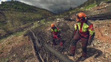 "On est très inquiet" : les Sapeurs-Pompiers de France appellent à la vigilance et au respect "des arrêtés" face au risque de feux de forêts