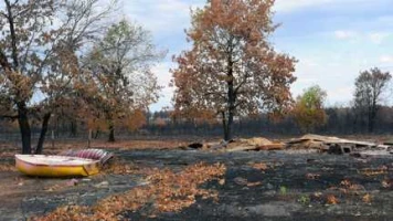 Incendie en Gironde : l'association AC !! Anti-Corruption porte plainte après la réalisation d'un pare-feu par un homme d'affaires au Cap-Ferret