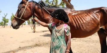 Près de la moitié des enfants du monde sont exposés à au moins trois types d’aléas climatiques, alerte l’Unicef