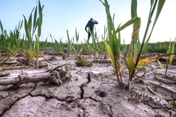 96 % du territoire touché : la sécheresse des sols atteint un niveau record en France