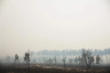 « Les plaines agricoles brûlent désormais comme les forêts » : comment les paysages français favorisent les incendies XXL