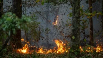 Incendies : un feu dans le Cher menace un site de production d'armement classé Seveso, une centaine de personnes évacuées