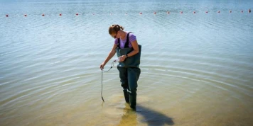 « On pensait pouvoir au moins tremper les pieds, mais c’est interdit » : les proliférations de cyanobactéries empêchent la baignade dans des lacs et rivières de France