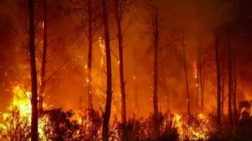 INFO RADIO FRANCE. Sébastien Lecornu missionne sept parlementaires pour proposer de nouvelles mesures contre les feux de forêt