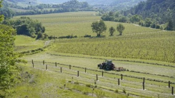 "L'agriculture est en première ligne" : comment l'épisode de forte chaleur précoce menace les cultures françaises