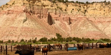 Trump réduit drastiquement le périmètre de zones protégées de l’Utah, ouvrant la voie à une exploitation minière et pétrolière de ces réserves naturelles