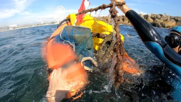 Pollution marine : quatre initiatives pour protéger nos littoraux