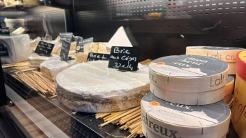 Bactérie E. coli : pourquoi il faut éviter de donner certains fromages aux enfants
