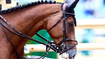 Jeux olympiques de Paris 2024 : Priorité au bien-être des chevaux athlètes dans les manifestations équestres