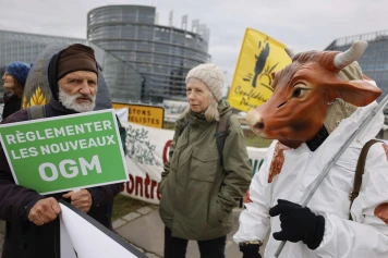 Rapport bloqué sur les nouvelles techniques génomiques - Controverse OGM
