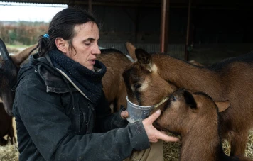 Delphine Serreau: Lutte pour sauver sa ferme et ses chèvres grâce à la générosité publique