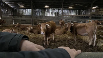 Marion Desbordes: Aide aux Agriculteurs au Salon de l'Agriculture