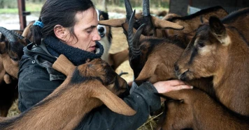 Delphine Serreau sauve son élevage de chèvres grâce à une cagnotte en ligne