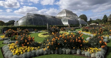 Rôle des jardins botaniques dans la régulation de la chaleur urbaine