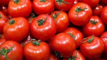 Redécouvrez le Goût Authentique des Tomates: Variétés Savoureuses et Cultivées Naturellement