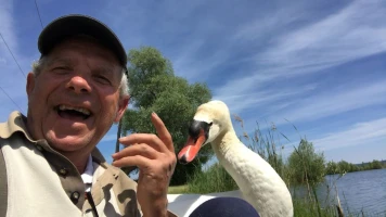 Gilbert Fischer: L'histoire touchante d'un retraité et son cygne, Baba