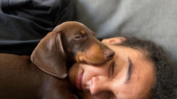 Canelle de Paris: Entrepreneur et Compagnon de Teckel Nain Adorable