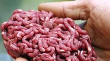 Alerte Santé: Viande Hachée Contaminée par E. Coli Retirée des Supermarchés