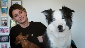 Border Collie Messi brille aux Oscars dans 'Anatomie d’une chute'