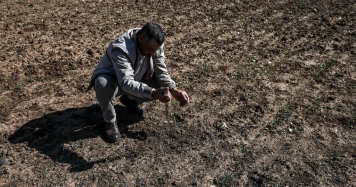 Réchauffement climatique : hausse des prix alimentaires à venir