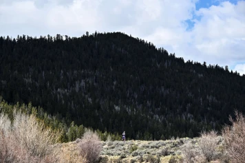Jasmin Paris: Première femme à terminer la légendaire course Barkley