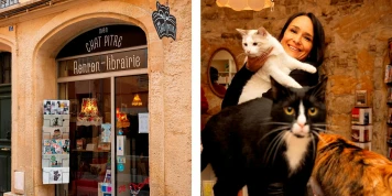 Mon Chat Pitre: Librairie Unique avec Chats de Refuge et Événements Littéraires