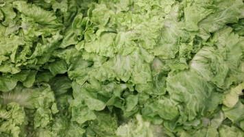 Salades en sachet: Risque de contamination par pesticides, enquête révèle