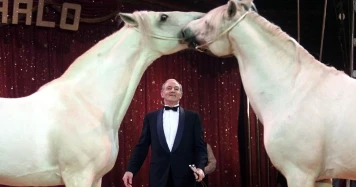 Hommage à Alexis Gruss: Virtuose de l'équitation et défenseur des arts circassiens