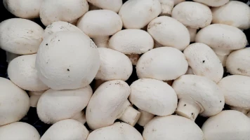 Rappel de Champignons Ruol pour Pesticides Excessifs - Ne Plus Consommer