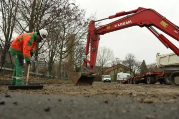 Strasbourg: Démantèlement des Routes pour la Préservation de la Biodiversité