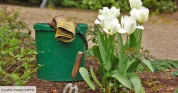 Crédit d'Impôt pour Travaux de Jardinage à Domicile en France