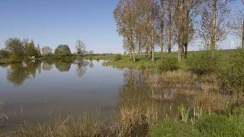 Canicules, sécheresse, incendies... "La solution unique du stockage d'eau ne fonctionne pas", rappelle l'hydroclimatologue Florence Habets