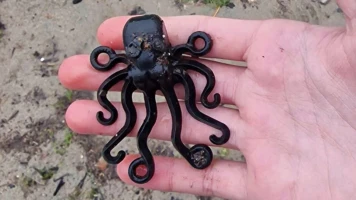 Adolescent découvre rare pieuvre Lego noire sur une plage anglaise