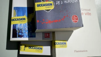 Taxe sur les livres d'occasion : Rachida Dati soutient la proposition