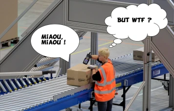 Chat perdu retrouvé à 1000km de chez lui grâce à une employée d'Amazon