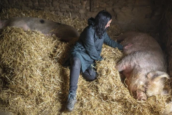 Sanctuaire Groin Groin: Protection et Bien-être des Animaux de la Ferme
