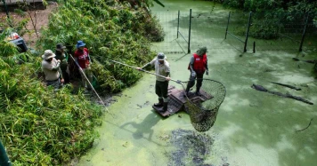 Opération Crépuscule: Costa Rica Evacue 400 Animaux du Zoo Simon Bolivar