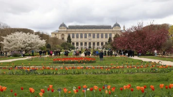 Préservez la biodiversité: Ne tondez pas votre gazon en mai