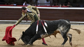 Matador Roman Collado gravement blessé lors d'une corrida à Vic-Fezensac