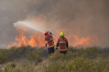 Urgent: Incendie à Vidauban, Var - 600 hectares ravagés, villages évacués