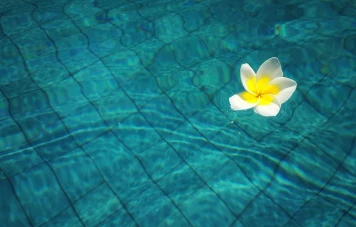 IA découvre 140K piscines non déclarées, récupère 40M€ en taxes foncières