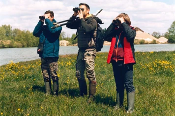 Diminution alarmante des oiseaux en Europe: Facteurs et Conséquences