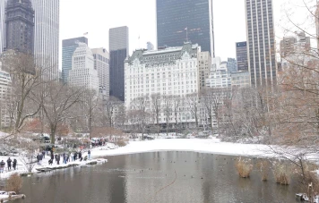 Tempête hivernale majeure : 60 cm de neige attendus à New York
