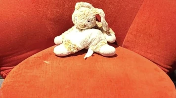 Appel désespéré d'une mère à Yutz : Aidez à retrouver le doudou de sa fille autiste volé avec sa voiture