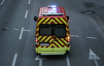 Tragique attaque de chien à Questembert : un bébé de 11 mois perd la vie