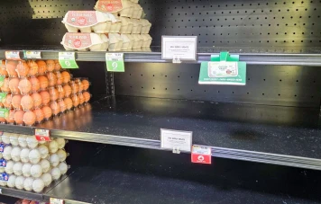 Flambée des prix des œufs aux États-Unis : un symbole de mécontentement économique