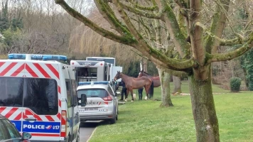 Meurtre de Louise à Longjumeau : Deux suspects interpellés