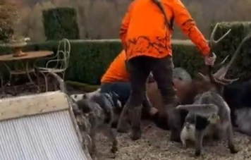Luc Besson en guerre contre les chasseurs : un cerf abattu sur sa propriété en Normandie